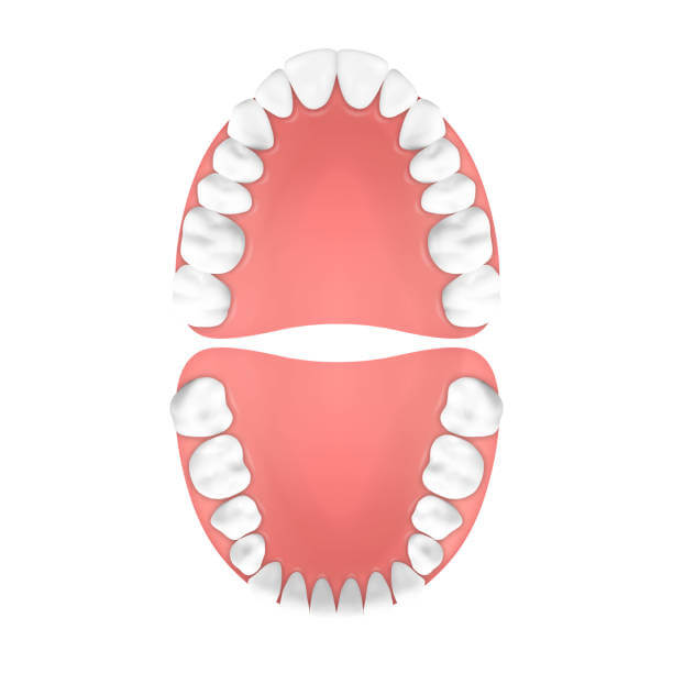 3D снимок зубов в Стоматологии Бюро 32